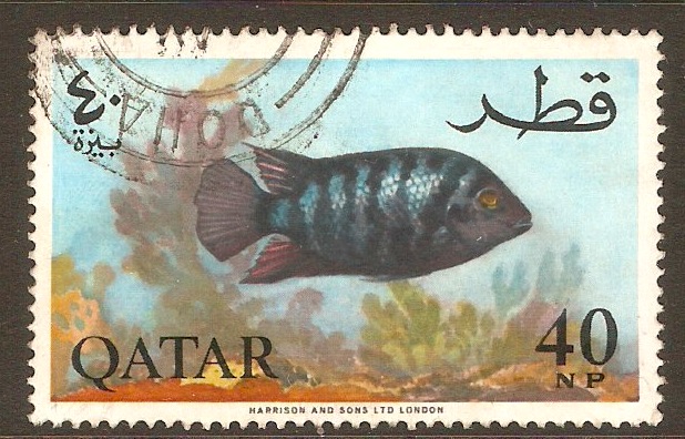 Qatar 1965 40np Fish series. SG78.